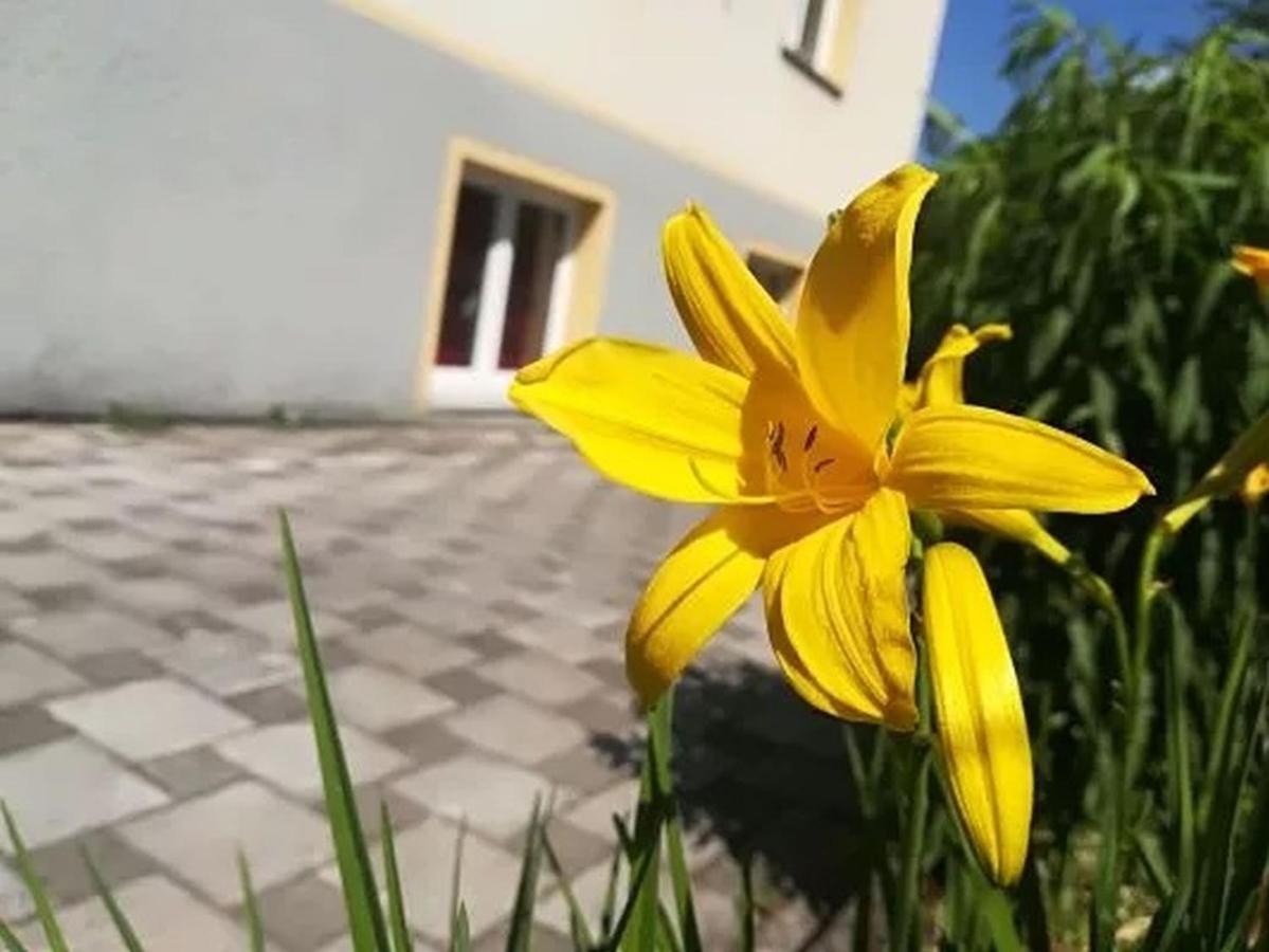 Haus Am Apfelbaum Lägenhet Bad Säckingen Exteriör bild