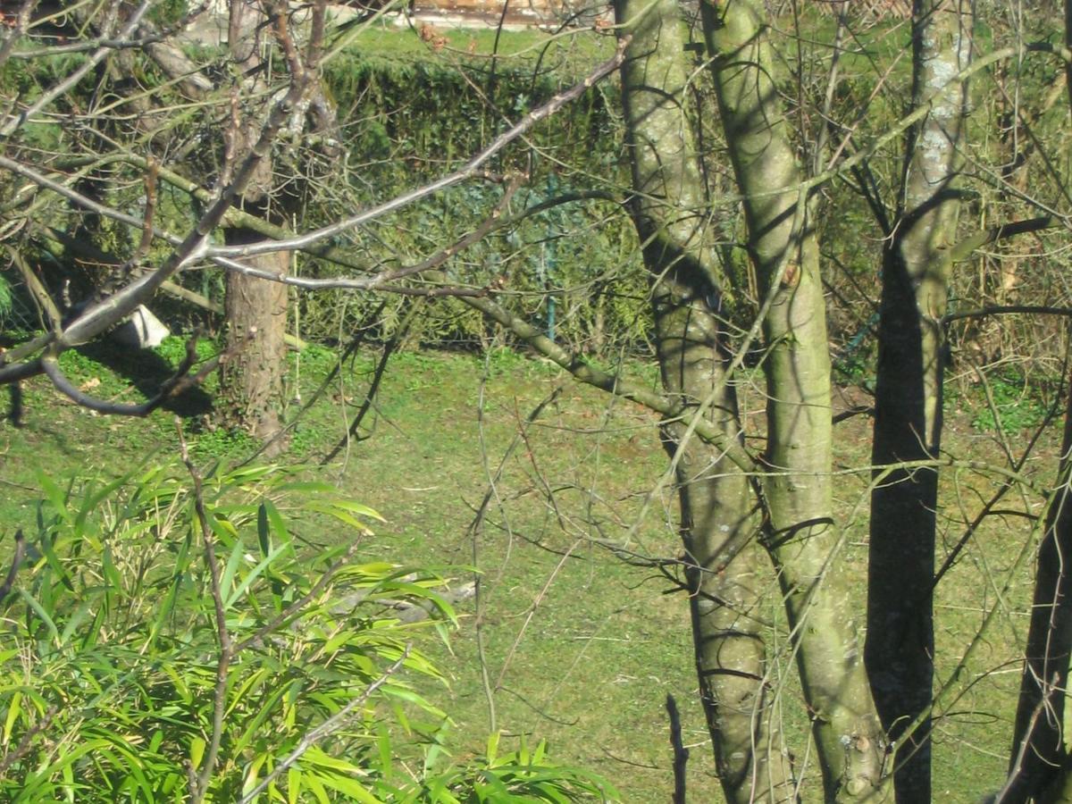 Haus Am Apfelbaum Lägenhet Bad Säckingen Exteriör bild